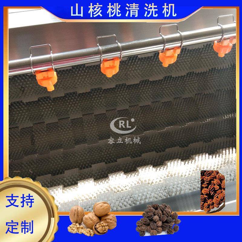 毛刷式核桃清洗机 辊刷式干果清洗去杂机 全自动山核桃清洗设备
