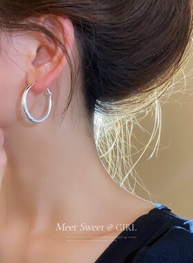 s925银针欧美高级感磨砂银色大圈耳环小众设计感耳圈女耳钉耳饰