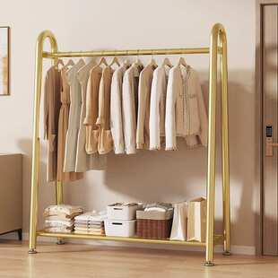 轻奢钢管落地式挂衣架家用卧室高级感多功能置物架2025新款衣帽架