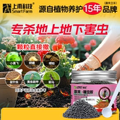 联苯噻虫胺颗粒剂杀虫剂跳甲蛴螬蝼蛄地下害虫专用药联苯菊脂农药