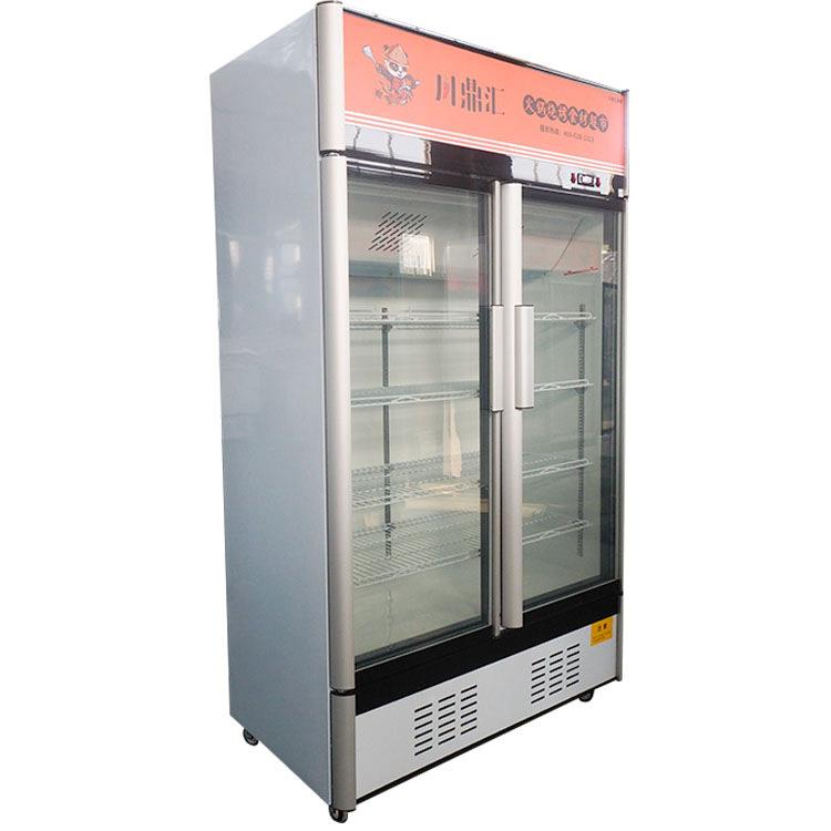 立式饮料双门三冷冻榴莲风冷无霜门冷藏展柜示柜鲜水SXS-1201奶果