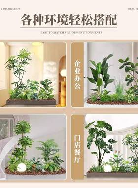 绿植南天造景组合橱竹装饰阳台假植物景窗观10884玄关室氛围内假