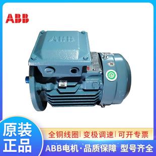 4A22.2AIM 双电机M2QA133S8 .3K三相交流异速步F级IP55IC411
