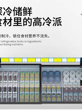 冰柜商展用冷保藏示鲜柜冷冻糕柜超市大容雪量玻璃门84988大型卧