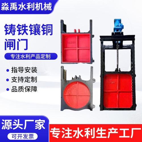 球墨铸铁镶铜双向止水闸门