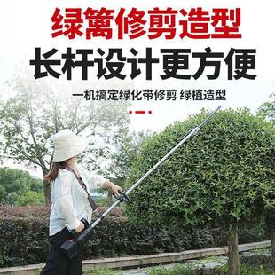 草坪农用锂电多机功能打草 电动割草机小机家用除型草机充BXZ电式