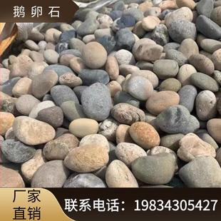 江苏天然河卵石变电站用鹅卵石鹅卵石滤料河滩石园林绿化用河卵石