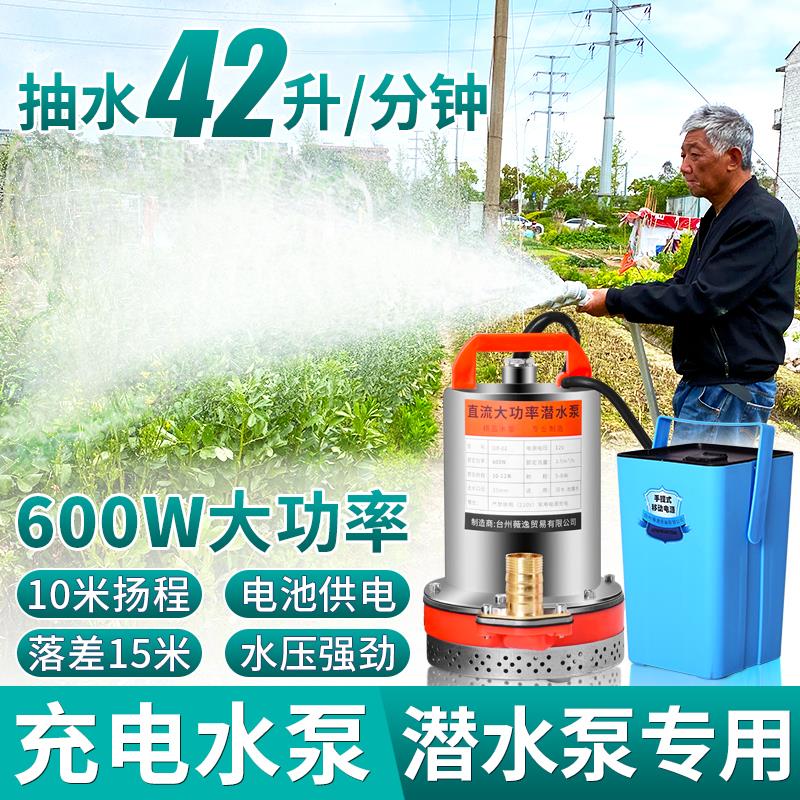 充电式抽水泵浇菜户外农用灌溉抗旱浇地神器抽水机高压直流潜水泵