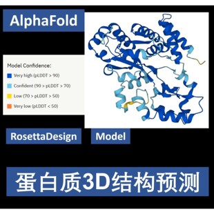 分子对接 药物虚拟筛选Pymol作图autodock vina DS金属酶柔性对接