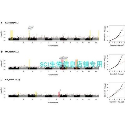 BSA数据分析/基因单倍型分析/QTL定位分析/定位区间数据提取