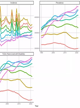 GBD数据库分析 选题指导全程医学sci发文思路GBD数据分析