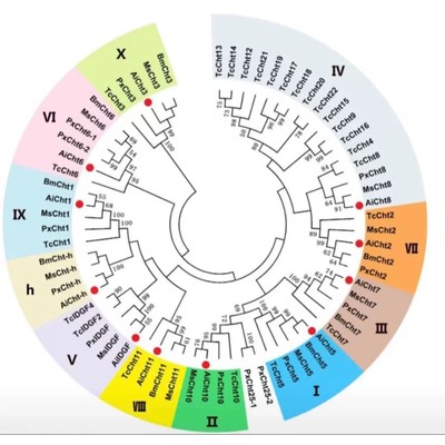 R语言绘图R代码自动出图医学临床SCI科研生信热图数据分析作图包