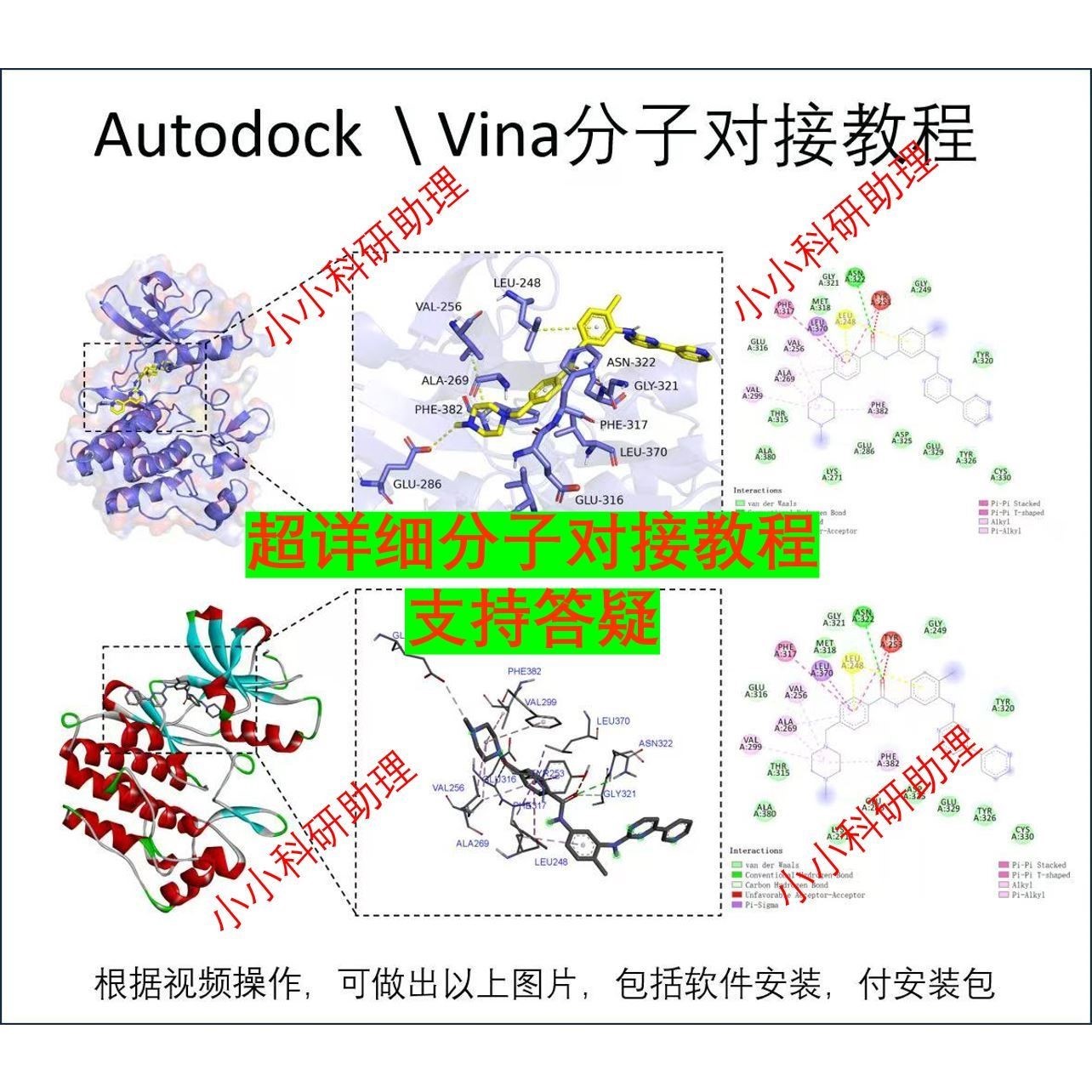 蛋白药物分子对接教程