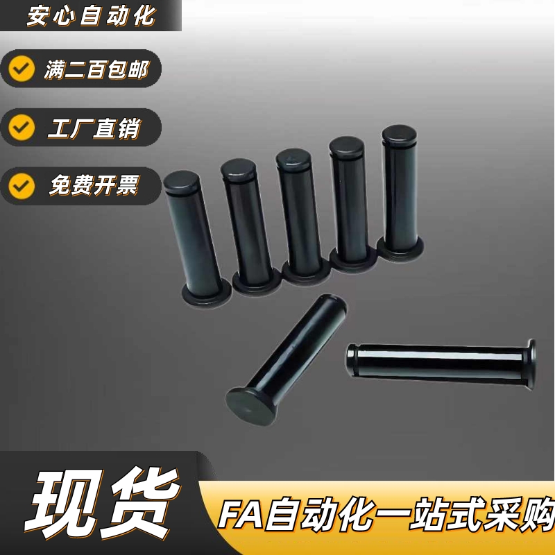 带肩铰链销非标定制MIC0