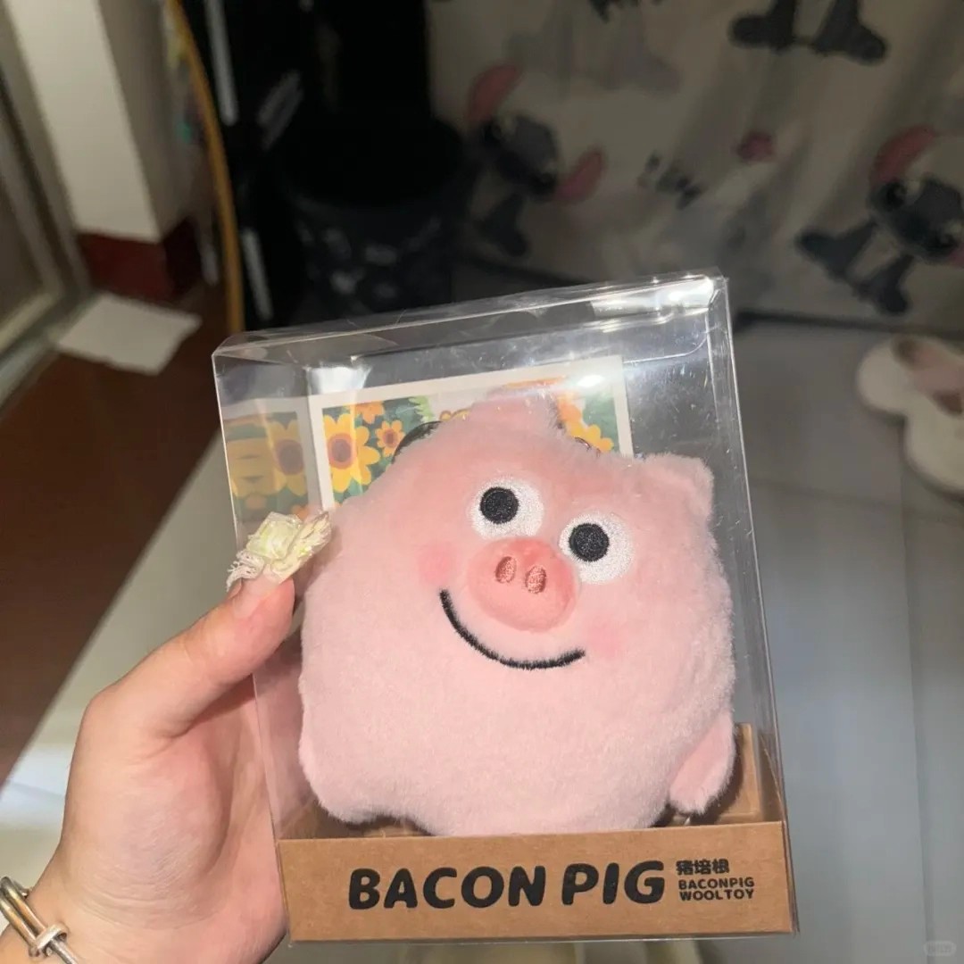 小红书同款兜里有羊猪培根玩偶