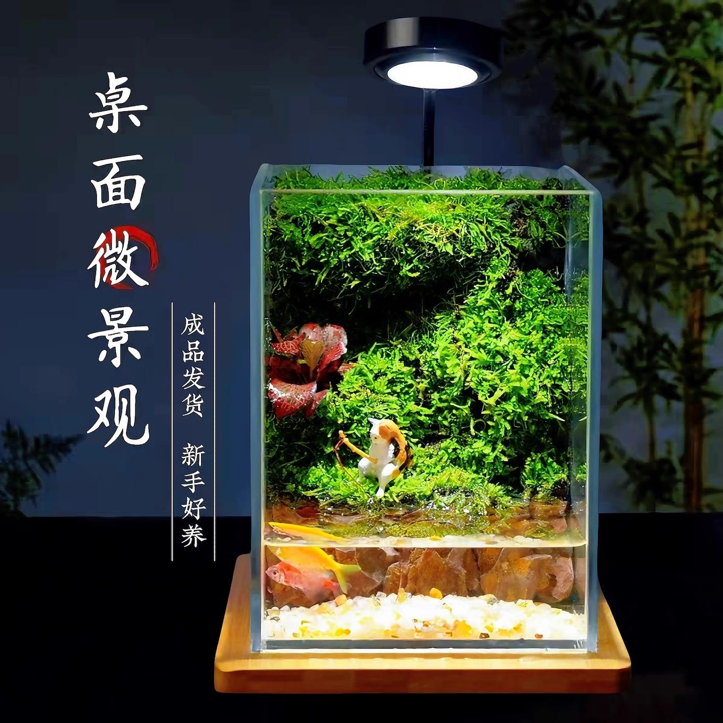 苔藓微景观生态缸造景植物玻璃瓶桌面摆件森林全套雨林生态养鱼缸