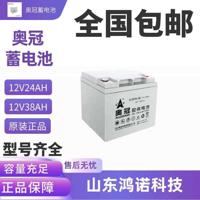 鸿诺 奥冠蓄电池12V38AH 6-GFMJ-38胶体UPS电源太阳能机房光伏专