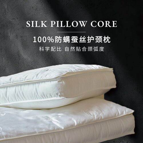 高奢美容防螨抗菌枕头护颈椎助睡眠桑蚕丝枕芯单支装