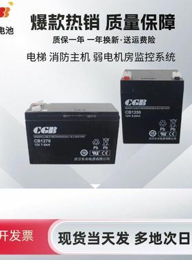 西奥电梯松闸救援装置CGB蓄电池CB1240/1250/1270/12120消防主机