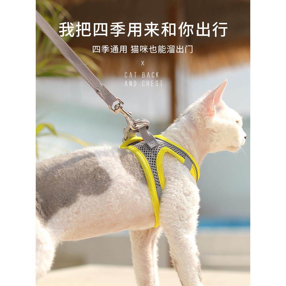 猫咪牵引绳防挣脱溜猫绳夏季外出专用背心式胸背带狗狗小型犬用品