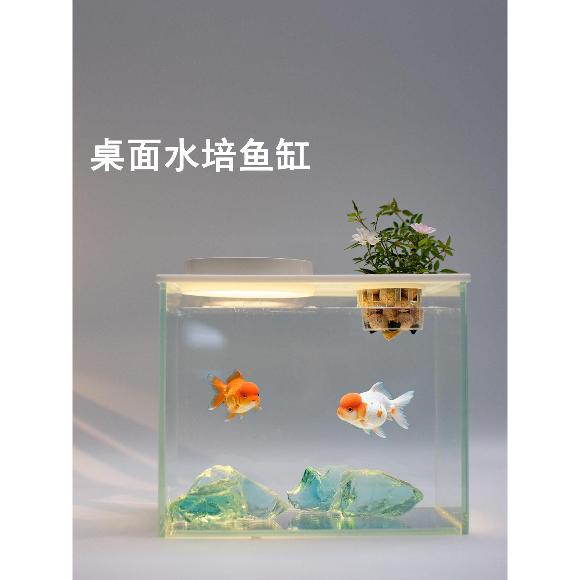 桌面水培鱼缸生态缸带灯过滤微景观懒人免换水鱼缸超白玻璃水草缸