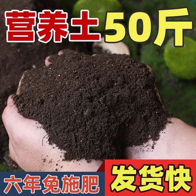 营养土养花种菜土专用