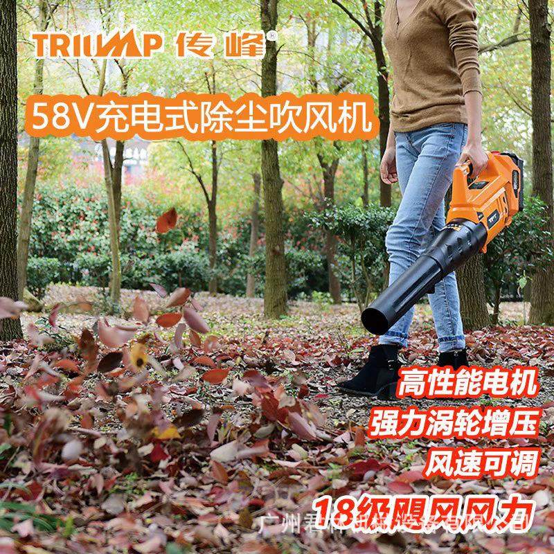 传峰58手提大功率充电式工业吹风机公园绿化吹叶机道路除尘鼓风机,汽车零部件/养护/美容/维保,工程机械轮胎,淘宝优惠券,粉丝福利购,淘宝优惠卷