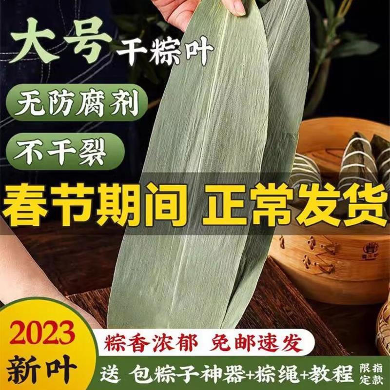干粽叶大码特大号粽子叶免邮麻竹叶新鲜家商用包粽子叶子端午棕叶