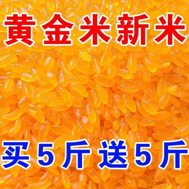精选品质 黄金米东北玉米现磨粗粮米农家特产玉米胚芽米特色食品