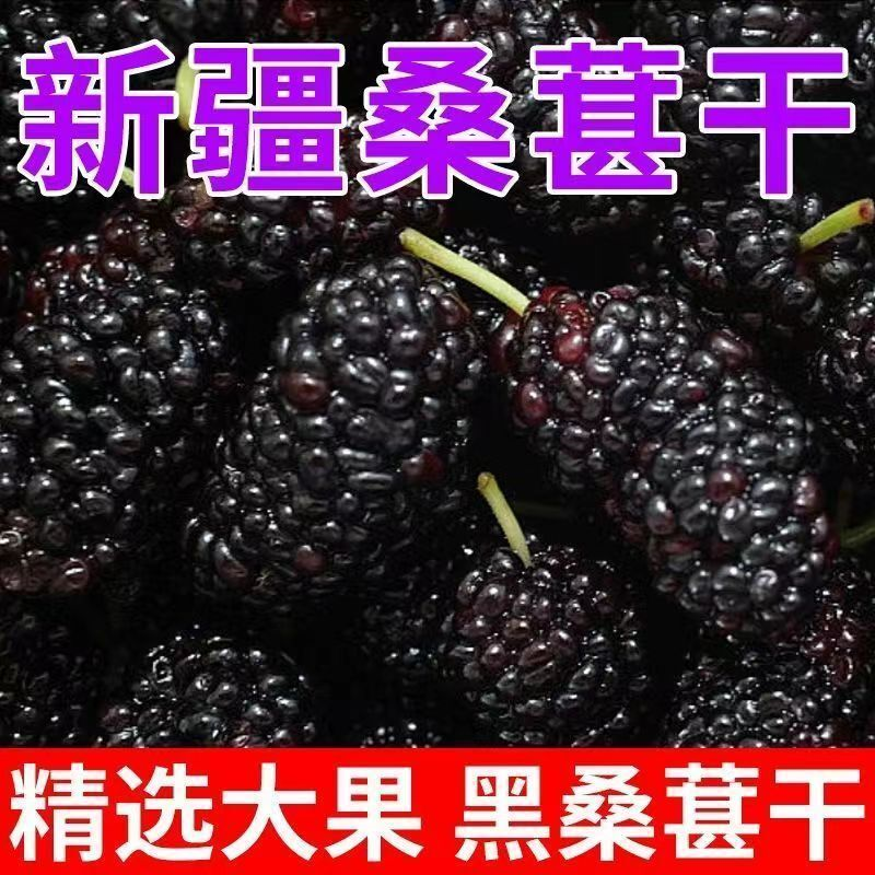 正宗新疆黑桑葚干无沙无添加可食补孕妇可食用干果桑葚纯天然即食