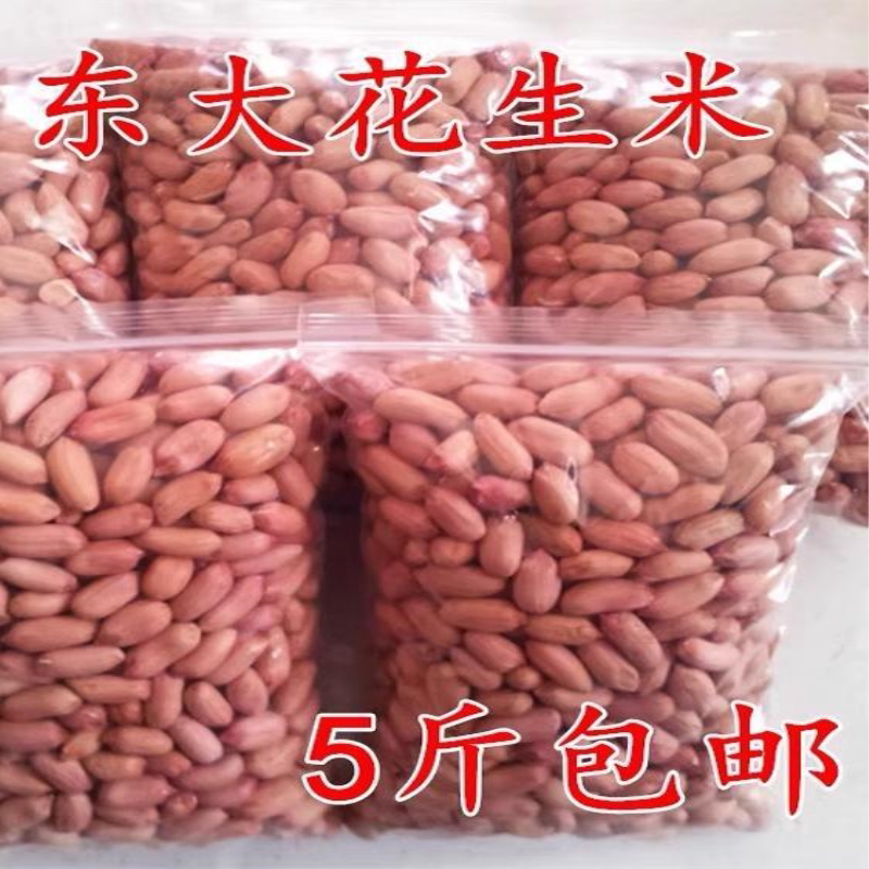 生 新 花生米2024新货山东大粒5斤农家自产特大新鲜长粒花生仁