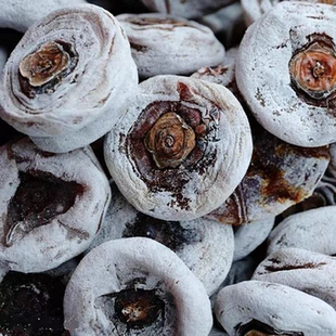 【老树柿饼】24年当季新鲜老式柿饼老牌子无添加正宗柿饼一整箱