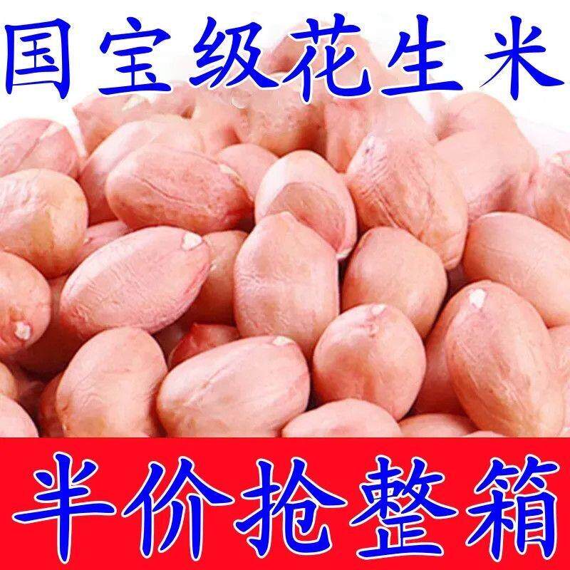 【5斤特价包邮】现剥新花生米新货粉皮新鲜大粒榨油白沙花生10g