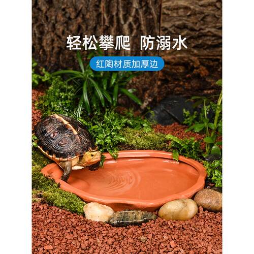 黄缘龟泡澡盆陶瓷水盆安缘半水龟专用喝水盘乌龟缸造景饲养箱用品