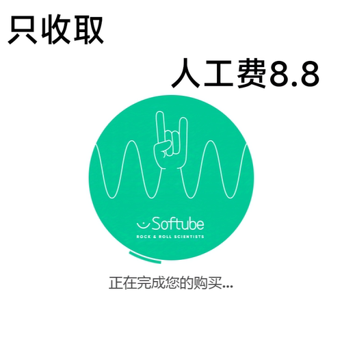 pay for pal各类支付问题全包
