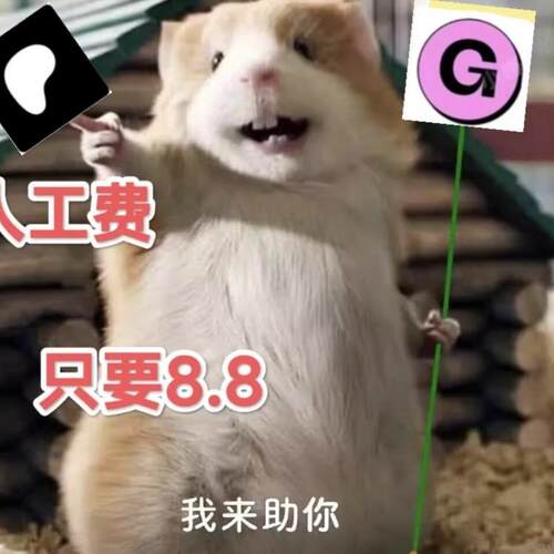 连衣裙paypal帮拍赞助