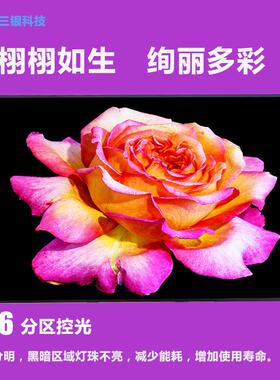 43寸miniLED分区控光高亮液晶屏 576分区 高色域广告屏 microLED