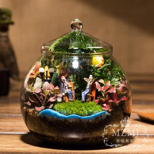 微生态瓶 苔藓植物 微景观 diy材料包 桌面办公趣味植物