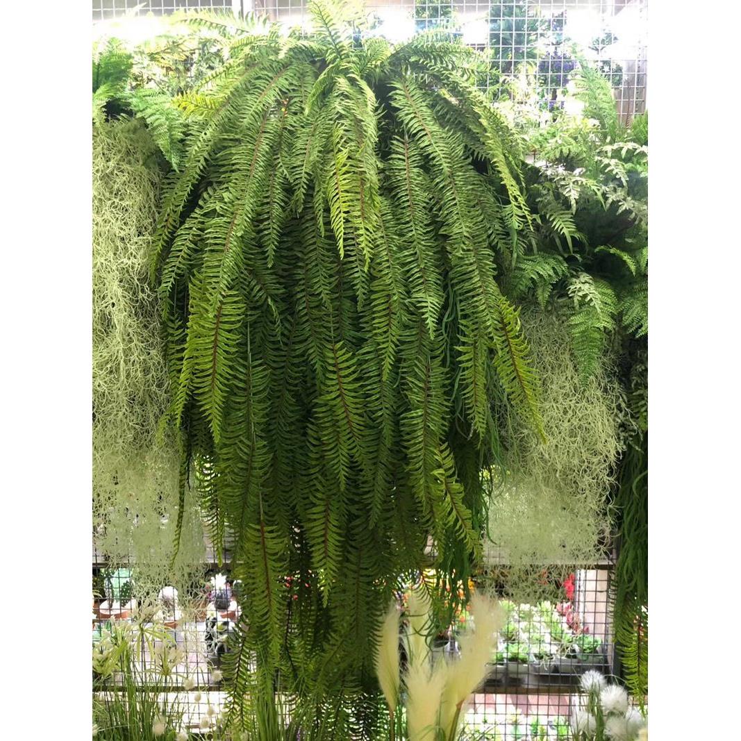 仿真蕨类吊顶垂吊壁挂植物墙装饰绿植婚庆配材大把排草嶡草波斯叶