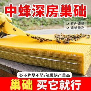 脾蜂巢专用蜜蜂标准全套片蜂蜡中养蜂框深房蜂巢意蜂巢础工具箱础