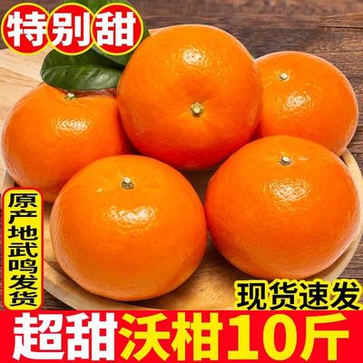 武鸣沃柑一级纯甜新鲜10斤广西沃柑当季水果整箱橘子橙子沃柑