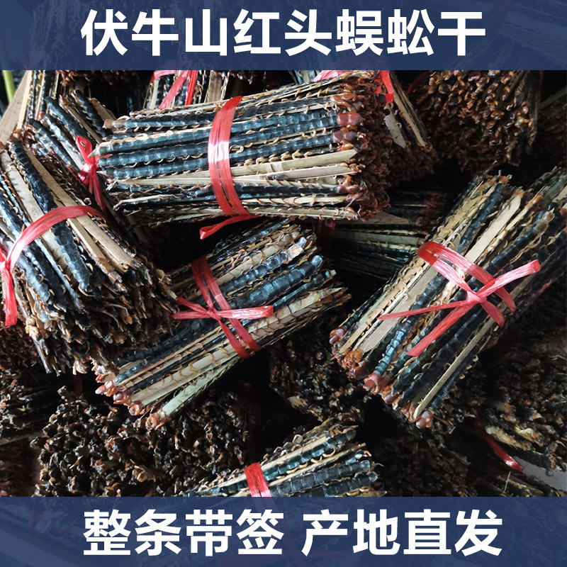 红头蜈蚣干10条蜈蚣片天龙干10-18公分带竹签中药材泡酒磨粉