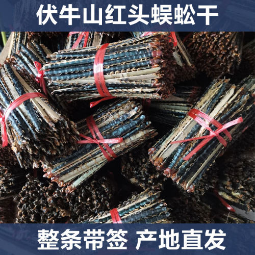 红头蜈蚣干10条带竹签泡酒磨粉