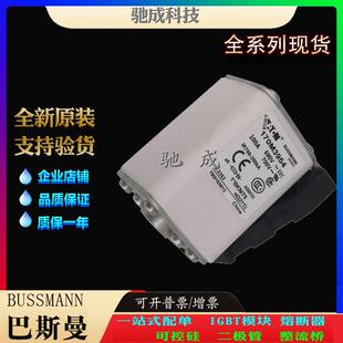 巴斯曼170M3981 170M3982 170M3983 原装进口零售 低压保险丝