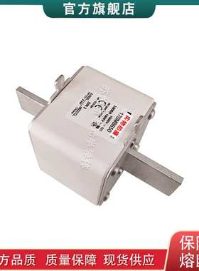 170M6867 6868 6869 6870 6891 8645 8646 8650 巴斯曼快速熔断器