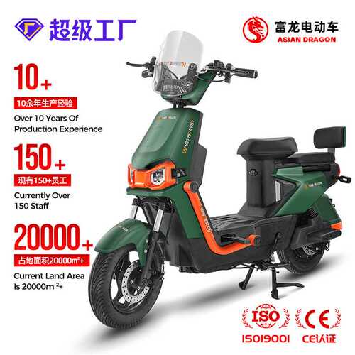 ASIAN DRAGON新款电动车1000w电动自行车两轮碟刹电瓶车源头工厂