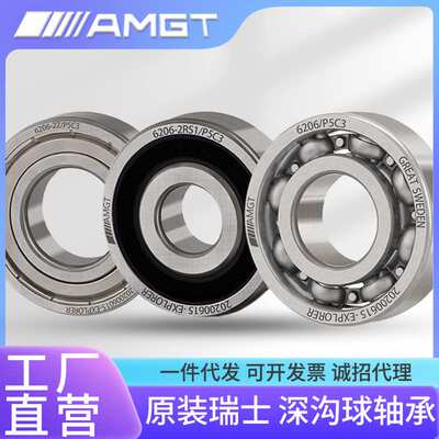 AMGT带卡槽深沟球轴承6315N 6316N 6317N 6318N 6319N   2RZN 2ZN