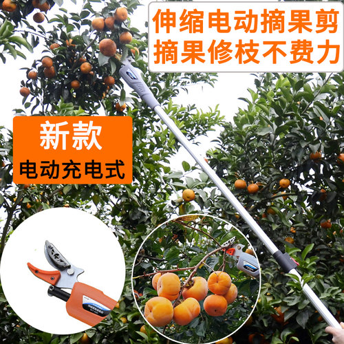 电动摘果剪果园伸缩高枝剪荔枝龙眼修枝剪刀高空加长充电式摘果器