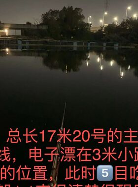 永祥青电子漂 无铅夜光漂 跑铅夜光漂 灵顿电子漂 青鱼草鱼夜光漂