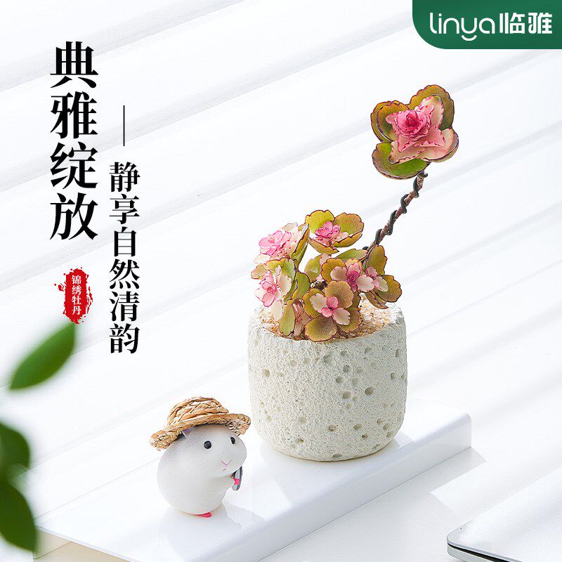 锦绣牡丹花苗多肉植物室内盆栽老桩轻奢高级感桌面好养绿植小摆件